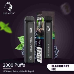 Blackberry Ice-2000 Puffs