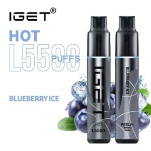 Blueberry Ice – HOT