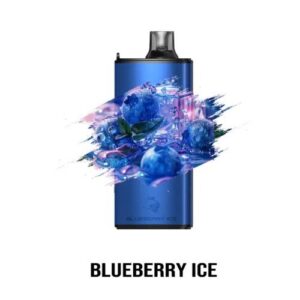 Blueberry Ice – GUNNPOD EVO