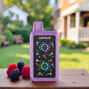 Blueberry Raspberry Bubble Gum – BUSSIN