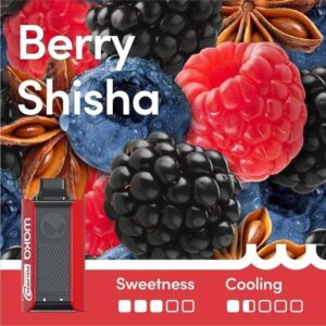Berry Shisha – SOPRO 10,000