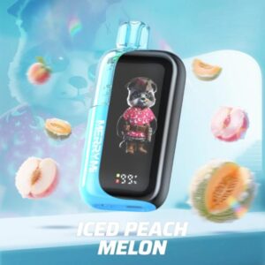 Buy MerryMi Panda X 40000 Iced Peach Melon e-cigarettes